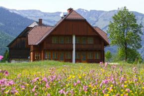 Appartements Zettler, Donnersbachwald, Österreich